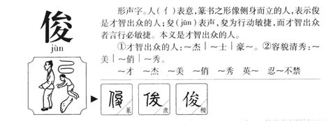 俊造詞|俊的意思，俊字的意思